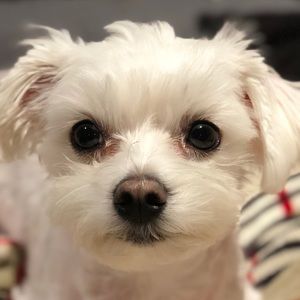 Meet your Posher, Jace